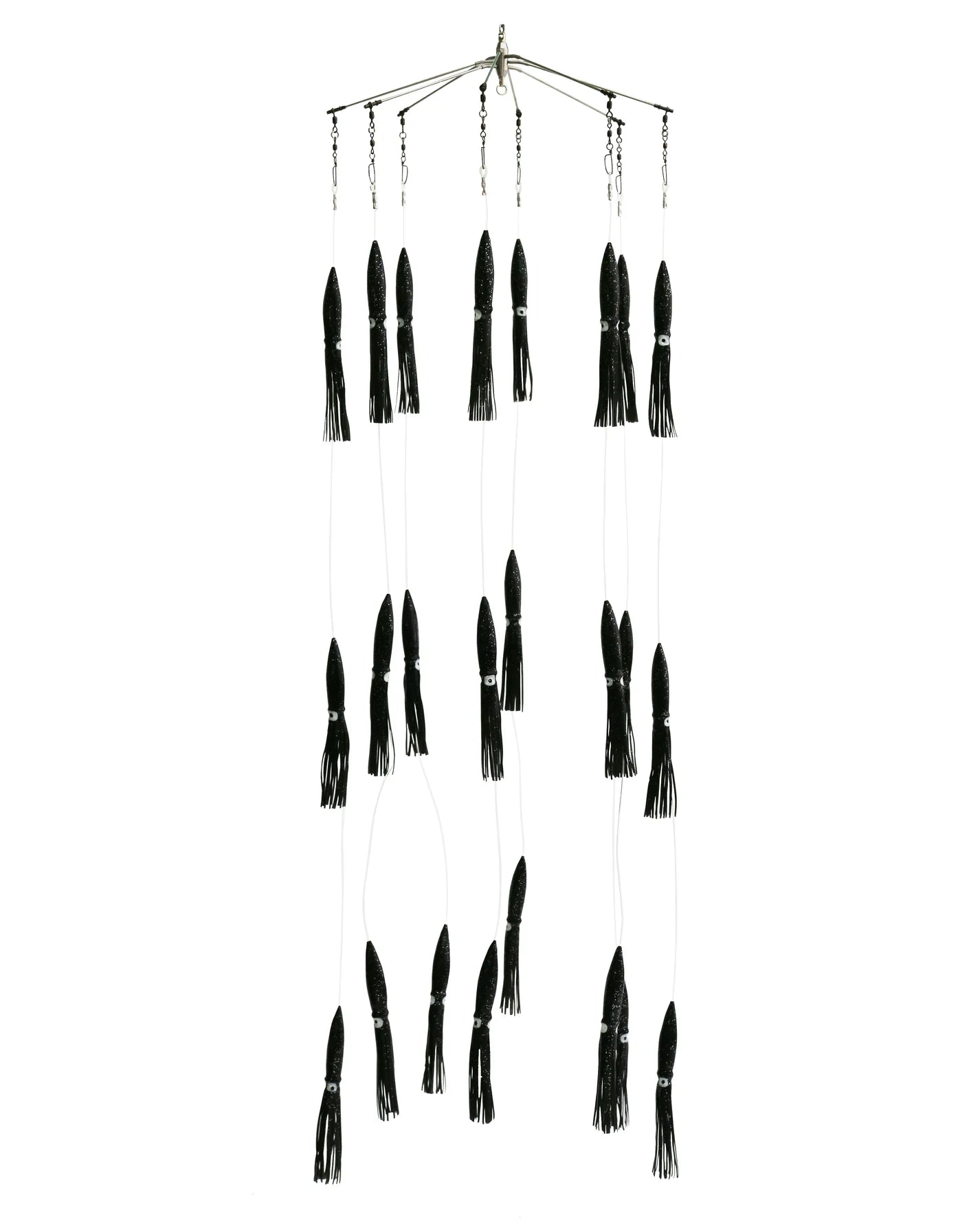 Medium Long Nose Squid